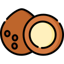 coco icon