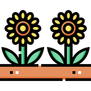 słoneczniki ikona