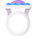 anillo icon