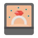 anillo icon