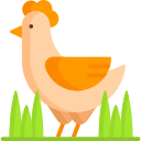 pollo 