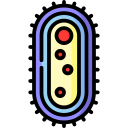 las bacterias icon