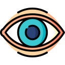 ojo icon