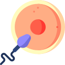 fertilización