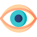 Eye icon