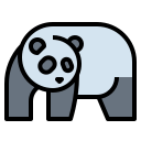 panda icon