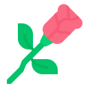 rosa icon