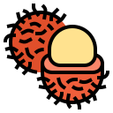 rambután icon