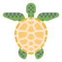 tortuga icon