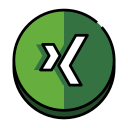 xing icon