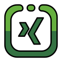 xing icon