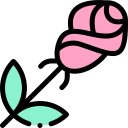 rosa icon