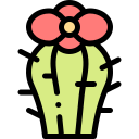 cactus icon