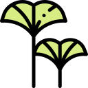 ginko icon