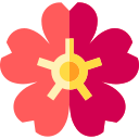 flor de cerezo 