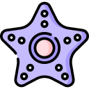 estrella de mar icon