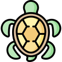 tortuga icon