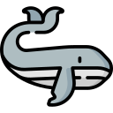 ballena icon