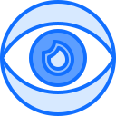 ojo icon