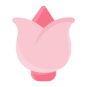 rosa icon