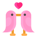 pájaros del amor