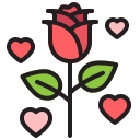 rosa icon