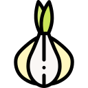 cebolla icon