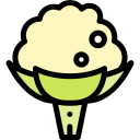 coliflor icon