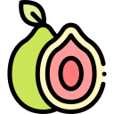 guayaba icon