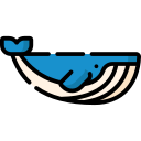 ballena icon