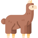 llama