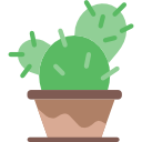 cactus icon