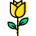 rosa icon