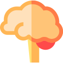 cerebro icon