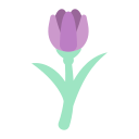 tulipán icon