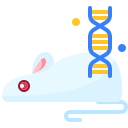 experimentar icon