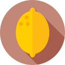 limón icon