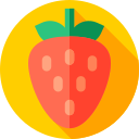 fresa icon