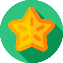 carambola icon