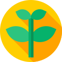 albahaca icon