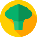 brócoli icon