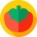 tomate icon