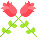 rosas icon