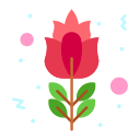 rosa icon