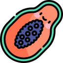 papaya icon