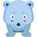 oso