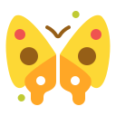 mariposa icon