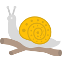 caracol icon