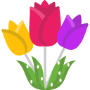 tulipanes 