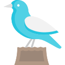 pájaro icon